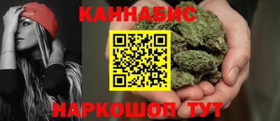 мдпв Славгород