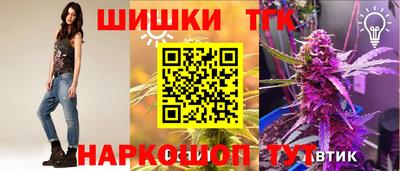 мдпв Славгород