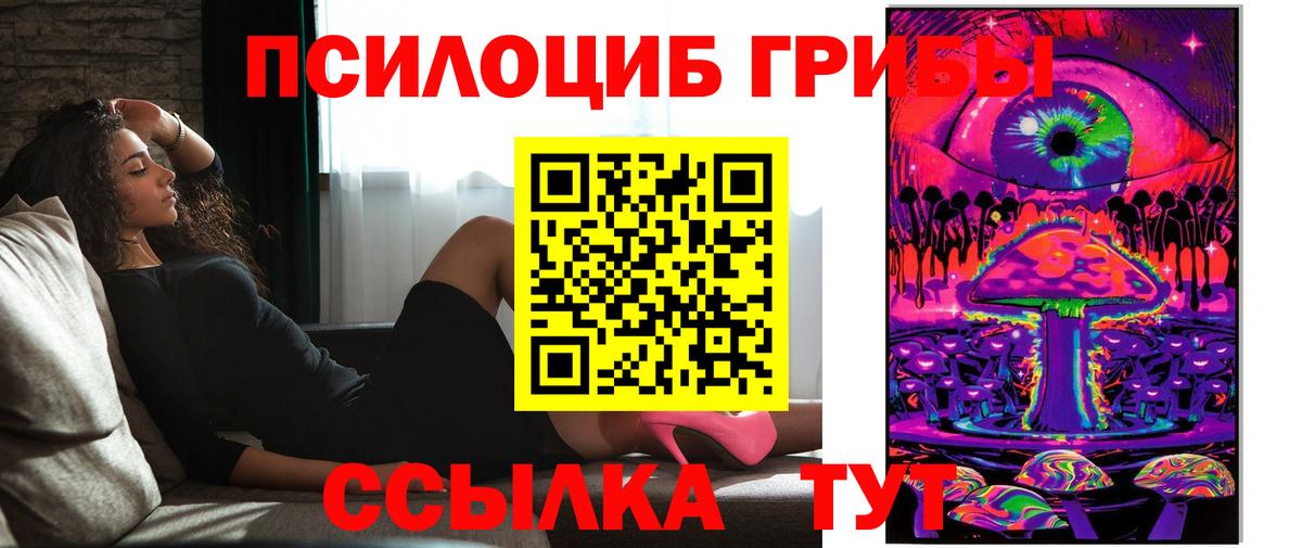 Петровск  Галлюциногенные грибы прущие грибы  Вход с VPN 